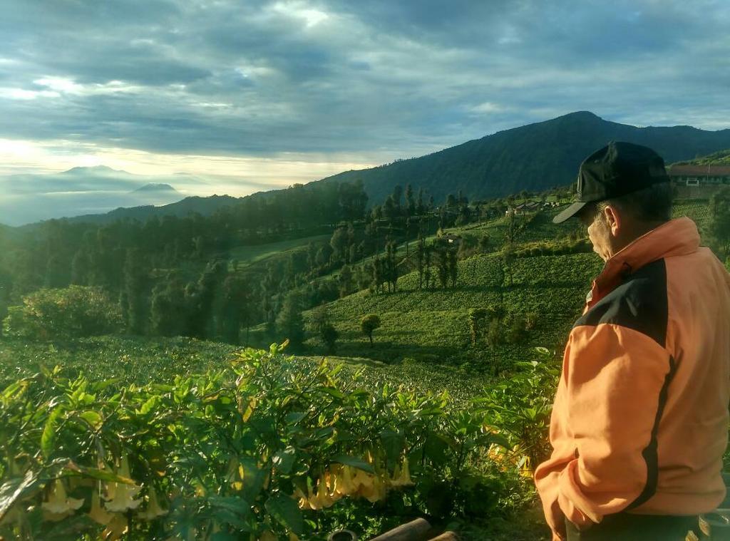Bromo Otix Guest House Dış mekan fotoğraf